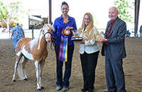 Cherryville Majic’s Sir Lancelot and Marcy Parsons awards presentation with Kim Sterchi and Jim Curry