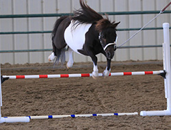 Jumping