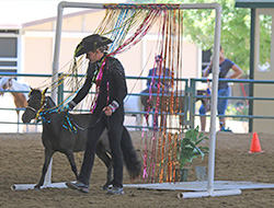 Lana Grieve on the obstacle course